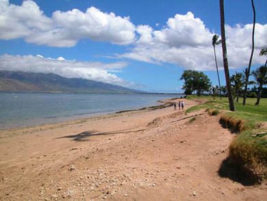 Kihei Vacation Ocean  Condo Sleeps Four Guests
